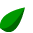bay island goes green